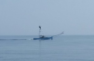 Tuna boat